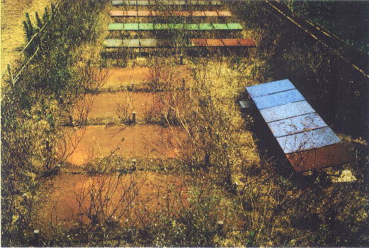 Nahaufnahme Verwitterungsinstallationen, Finca, Spanien