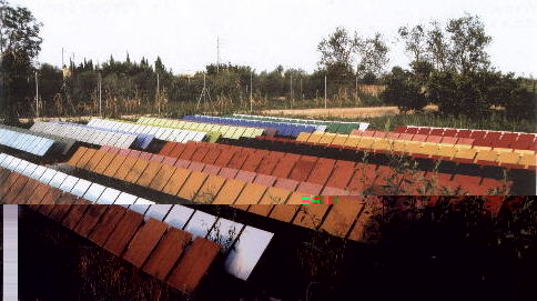 Installation 500 Tafeln, Finca, Spanien