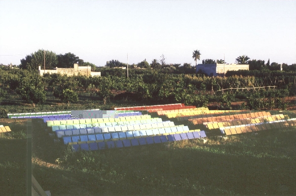 Installation 500 Tafeln, Finca, Spanien